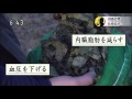因島杜仲茶しゃぶしゃぶTV放送