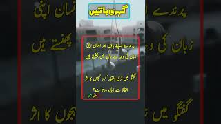 Achi Baatein اچھی باتیں Den Words Best Urdu Lines