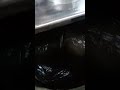 Video Image