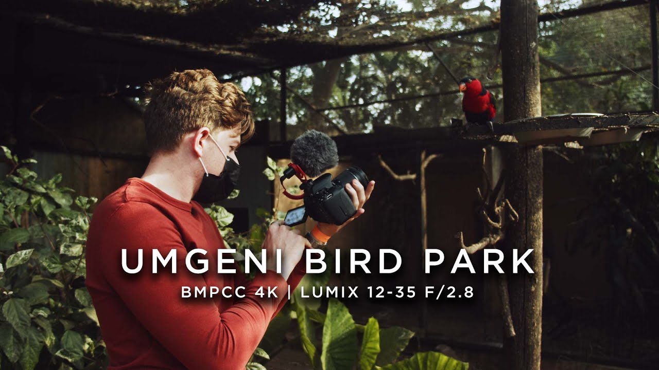 Umgeni Bird Park | BMPCC 4K Handheld + Lumix 12-35 f/2.8 | LUT