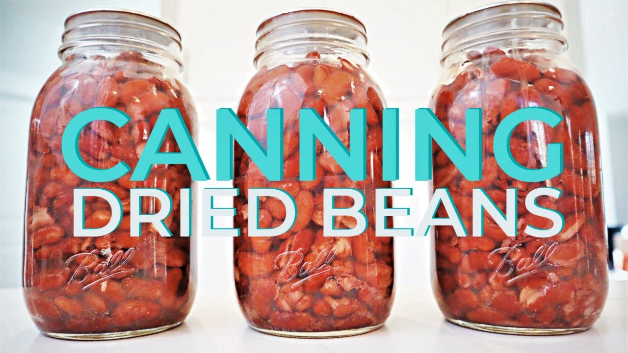 Canning Dried Beans YouTube