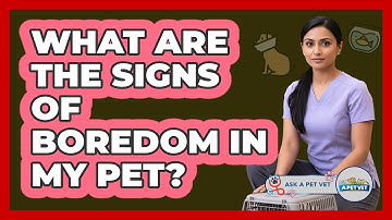 What Are The Signs Of Boredom In My Pet? - Ask A Pet Vet