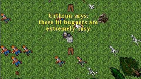 Tibia 6.x - Wild Warrior Tutorial (2002)