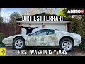 First Wash in 12 years! Ferrari 512 BBi Abandoned with only 6420 Miles - AMMO NYC