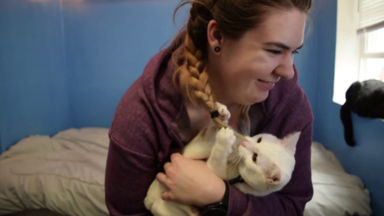 Crocheting a blanket for my cats! (Time Lapse) YouTube