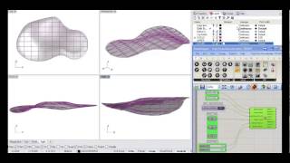 [LERA+] Structural Discretization Profile