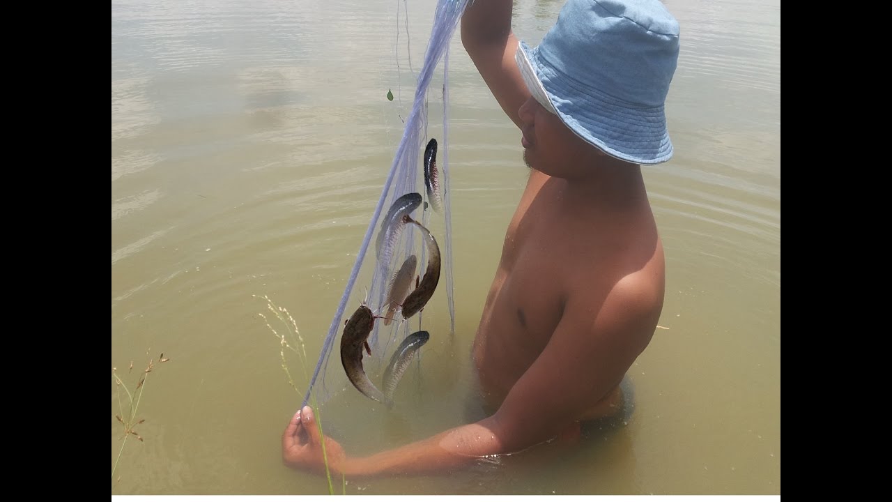 net fishing wa Amazing Net Fishing in cambodia-Best Net Fishing in Siem Reap khmer-Fishing Video-Net Fishing