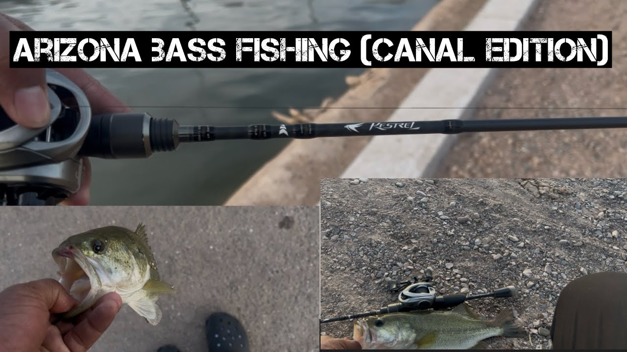 Arizona Bass Fishing (Canal Edition) #bassfishing #arizona #fishing