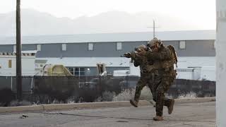 Assault Packs 2022