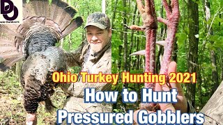 Ohio TURKEY HUNTING 2021/ How to Hunt Pressured Gobblers
