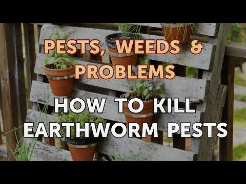 How to Kill Earthworm Pests - YouTube