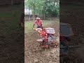 बारी गुनाइ हो रहा है! 😱😱😱 #powerweeder #reesviral #trending #shortvideo
