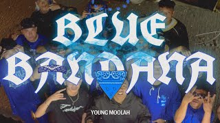 NGY - BLUE BANDANA