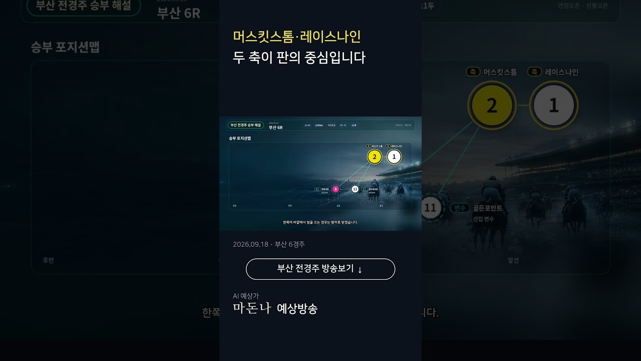 2026년 9월 18일 금요 부산경마 마돈나 예상방송 맛보기 #shorts  #경마예상 #마패경마 #마돈나  #코리아레이스