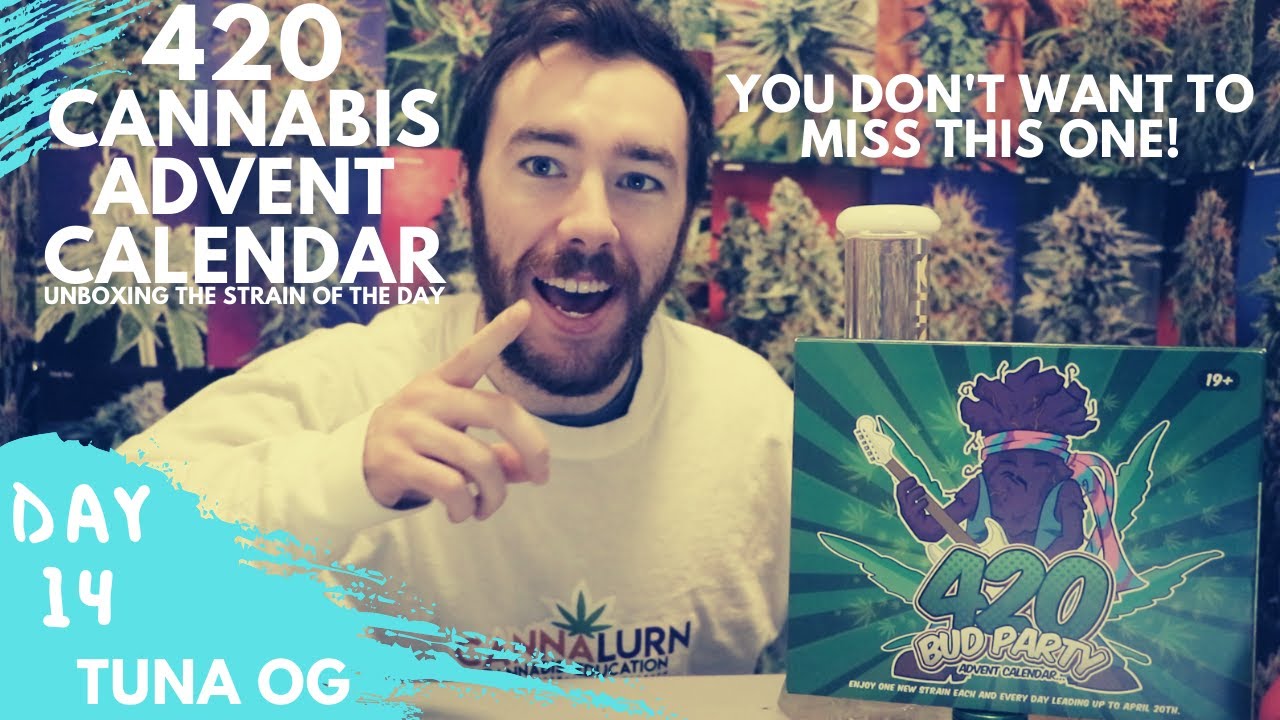 Day 14: Tuna OG Marijuana Strain Review - 420 Cannabis Advent Calendar Unboxing