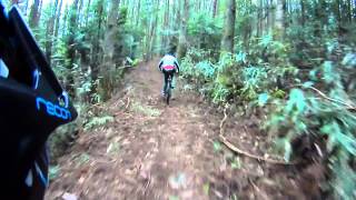 MTBトレイルライド N岳 PART2 20140329
