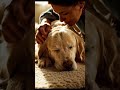 LAST DAY Of The Man S Bestfriend Shorts Viral Cutedog mp3