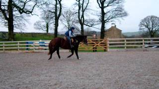 IMGP1115