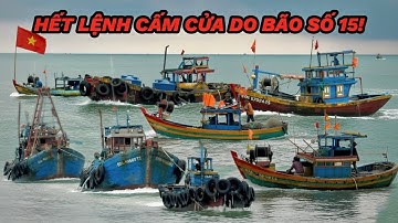 Quá Mừng! Sáng 2/12/2025 Hết Lệnh Cấm Cửa Biển La Gi Do Bão Số 15, Ghe Giã Cào Ghe Lưới Vào Khẩm Cá!