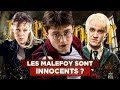 7 ides reues sur harry potter quil faut bannir  pisode 3