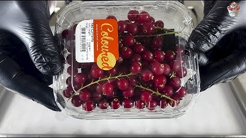 Raspberry ice cream roll - ايس كريم رول توت احمر العليق