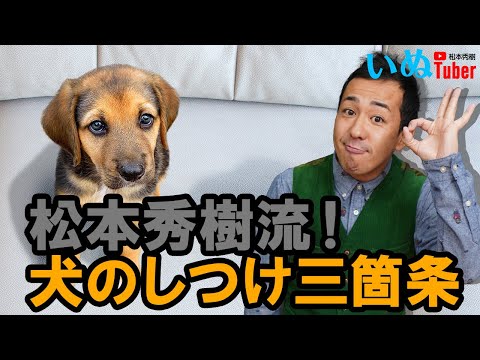 松本秀樹流！犬のしつけ三箇条