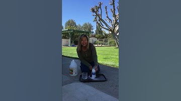 Homemade Rocket