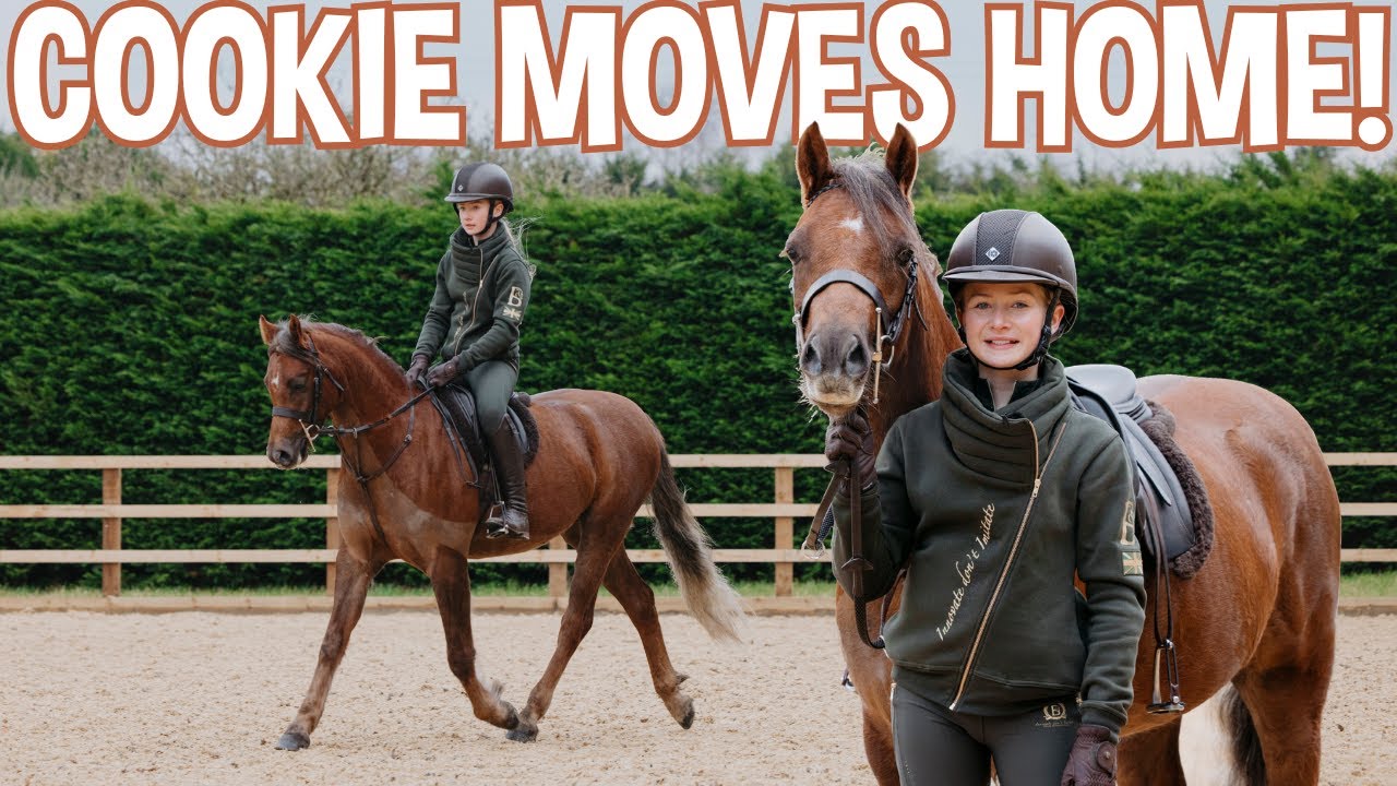 Play: Cookie Moves Home