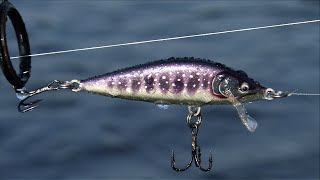 OUTDOOR PASSION, THE RAPALA, COUNTDOWN  ELITE, FANTASTIC 2023 HD UNDERWATER FOOTAGE!!!