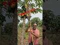 Trick to cut it .. #trendingshort #viral #reels #shorts