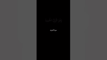 سورة الشورى ‏بتلاوة‏ ‏الشيخ ‏‏ياسر الدوسري #قرآن_كريم  #islam #عرب #سورة_الشورى #الشيخ_ياسر_الدوسري