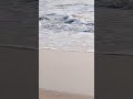 beautiful beach 🏖️#trending#viralshorts