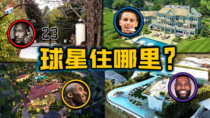 【冷飯說】NBA球星令人超乎想像的豪宅(一)：濃眉哥“盒子豪宅”似墓園，詹姆斯宅邸“鬧烏龍”！帕克莊園220,000㎡，自建水上樂園，簡直看傻眼！ - 天天要聞