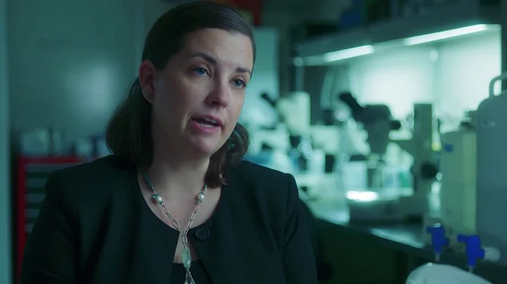 Restoring What MS Has Taken Away