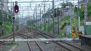 EF81-133+E26系 臨団カシオペア紀行（盛岡行） 蓮田通過