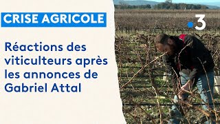 Agriculteurs en colère : réaction des viticulteurs après les annonces de Gabriel Attal