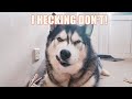 Husky Denies Having A High-pitched Voice!