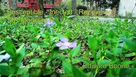 Susceptible - Infected - Recovered (SIR) Model in R.