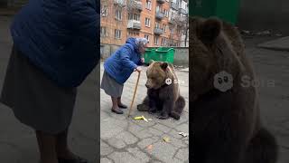 Бабушка строго отчитала медведя за мусор! 🐻🗑️ "Не на моей помойке!"