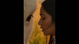 White Buffalo Spirit White Buffalo Spirit