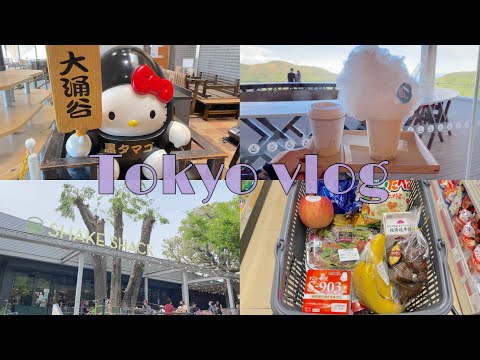 日本生活vlog|箱根一日遊|大涌谷|東京青山的SHAKESHACK|超市購物|買蛋糕|台日家族的日常|東京vlog