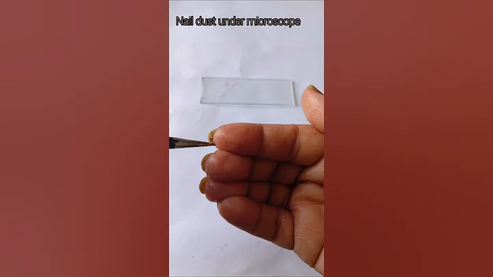 Nail Dust under Microscope 🦠#shorts #microscope #nails #germs #biology #experiment #viral
