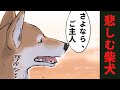 【世界の終わりに柴犬と】名言切り抜き#9 悲しむ柴犬