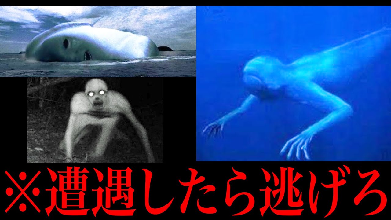 衝撃 実在すると噂の未確認生物がヤバすぎてツッコミどころ満載だったwwwww 総集編 Uma 都市伝説 なろ屋 ツッコミ Youtube