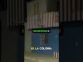 América vs Chivas | Solo en México 🤣 #chivas #América #clasico #futbol