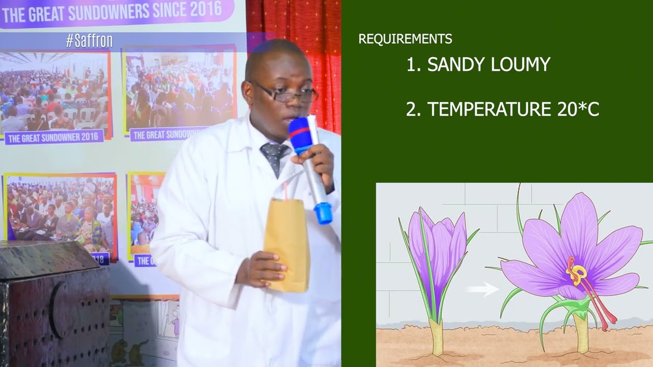 SAFFRON GROWING IN THE GREAT SUNDOWNER 5 & 6 2021 WITH OMUKENKUFU NYANZI JULIUS   SUBTITLED