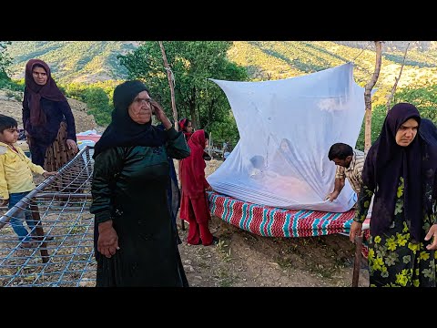 Видео: Как да приютим пилетата в задния ви двор