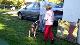 Dog Training, Loose Leash Walking, prelude to the heel command - Dog Trainer by Dog Trainer 52 views 9 years ago 4 minutes, 50 seconds