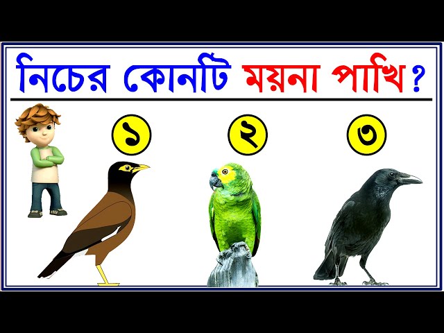 Yog trans Ish tinglash porno videolar