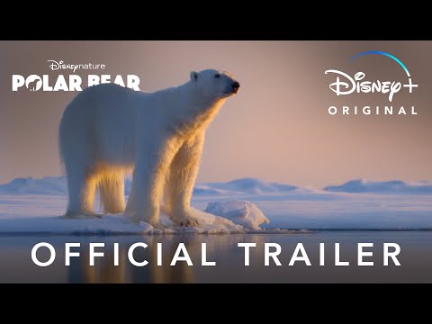 Official Trailer |
